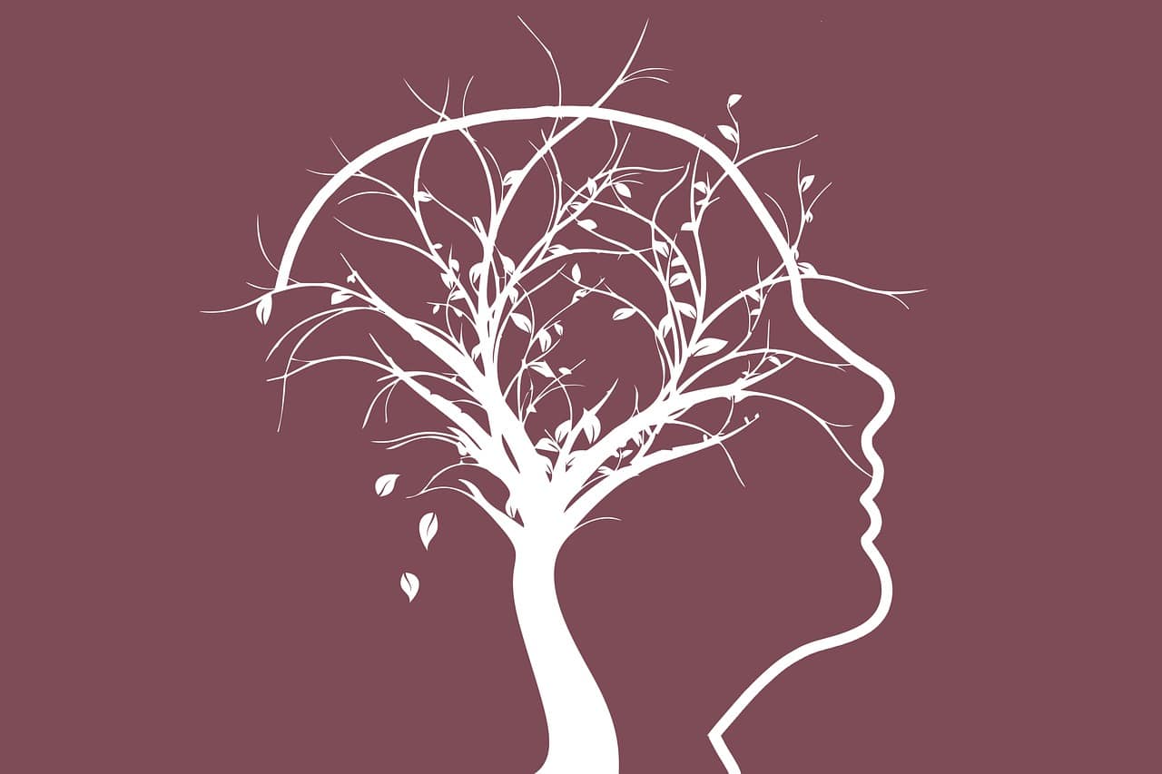 tree, memory, dementia
